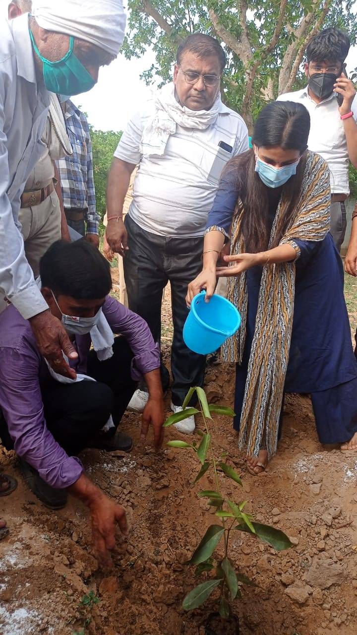 पर्यावरण संरक्षण को लेकर उपजिलाधिकारी खेरागढ़ द्वारा तहसील परिसर में वृक्षारोपण किया गया